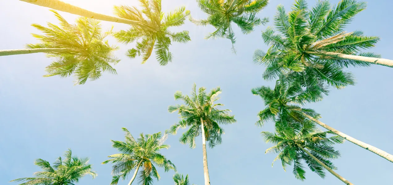 Exploring Alternative Depression Treatments in Florida